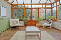 free Fallin conservatory quotes
